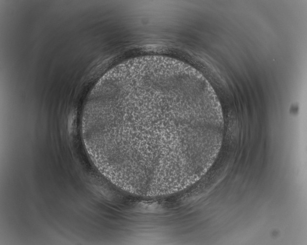 X0000116760502201001141432