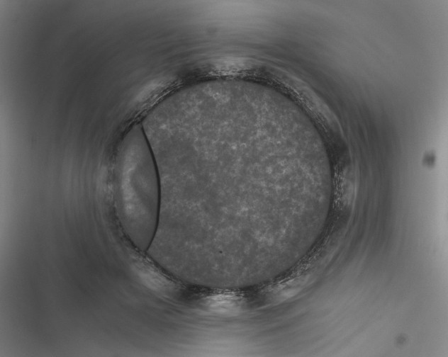 X0000116760505201001141432