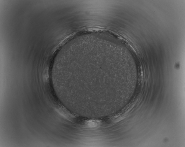 X0000116760508201001141432