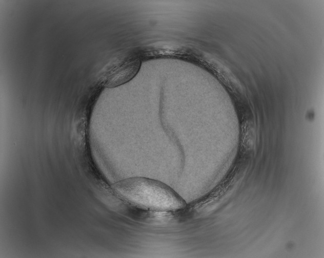 X0000116760509201001141432