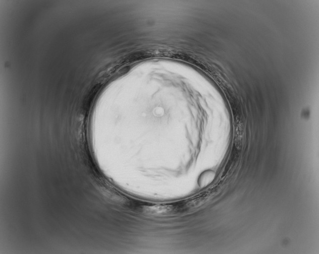 X0000116760511201001141432