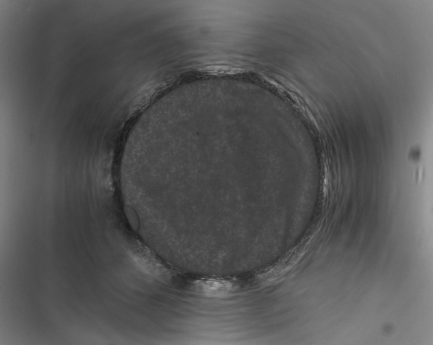 X0000116760512201001141432