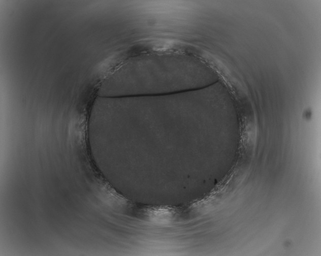 X0000116760513201001141432