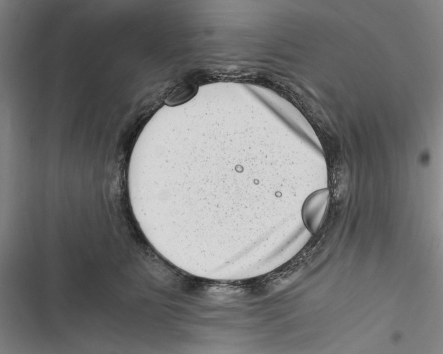 X0000116760515201001141432