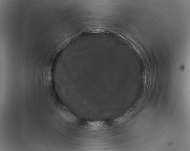 X0000116760516201001141432