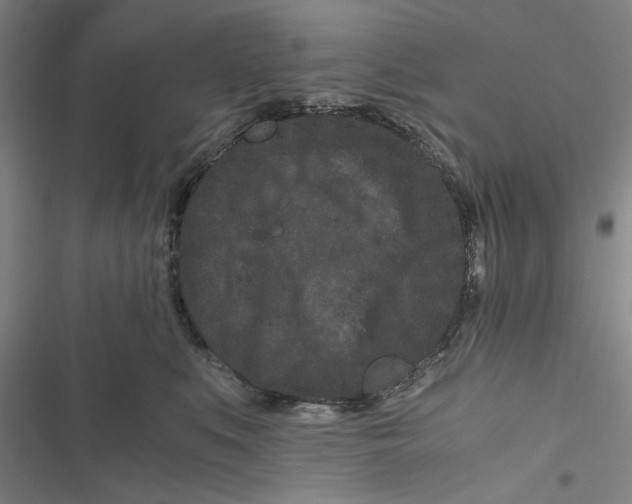 X0000116760519201001141432