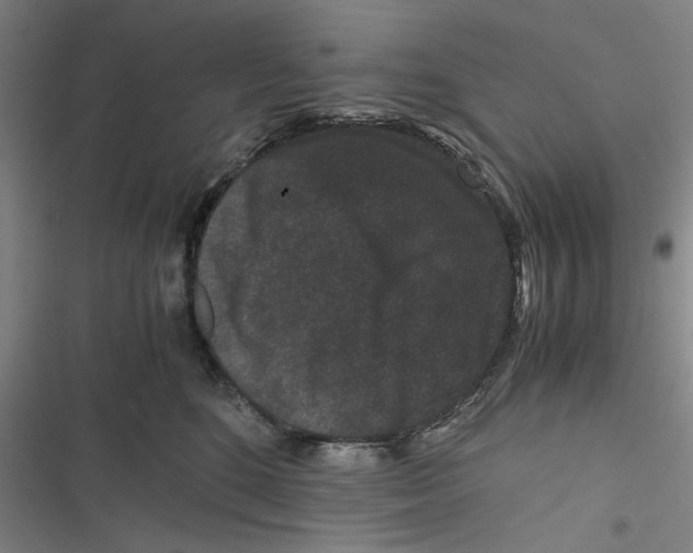 X0000116760520201001141432