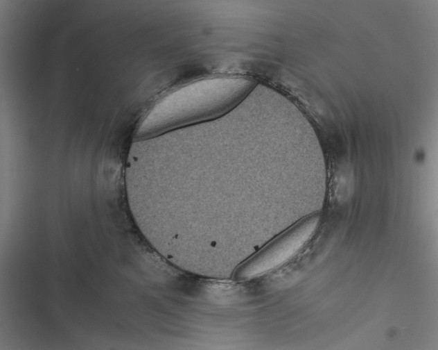 X0000116760521201001141432