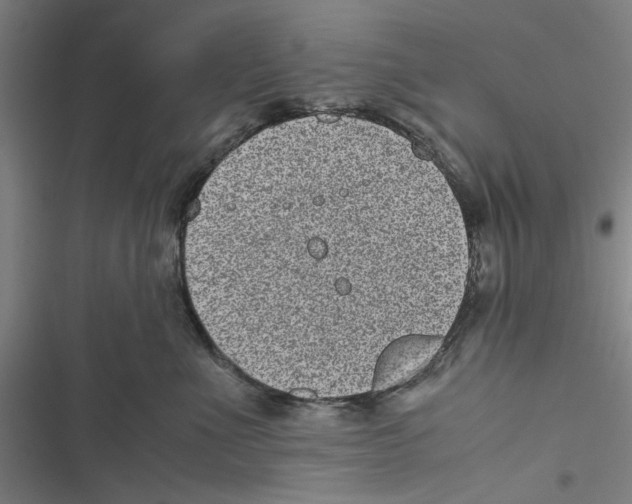 X0000116760523201001141432