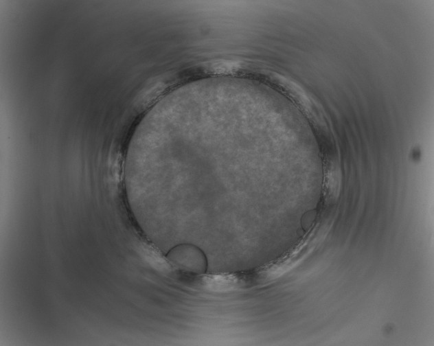 X0000116760525201001141432