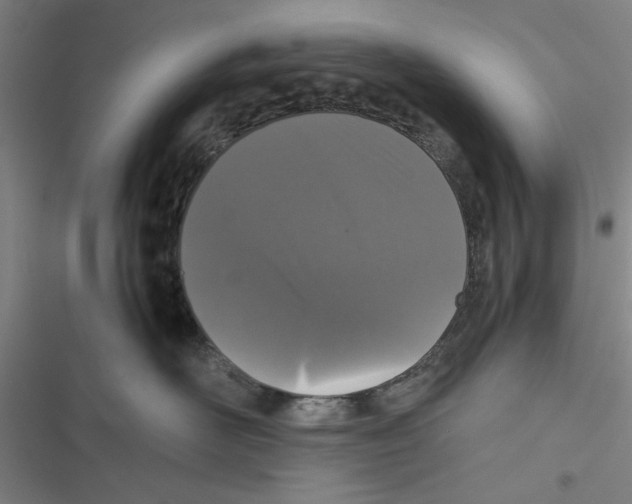 X0000116760526201001141432