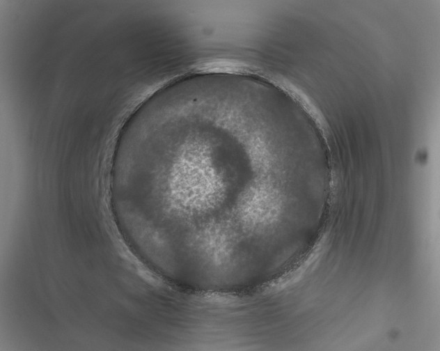 X0000116760529201001141431