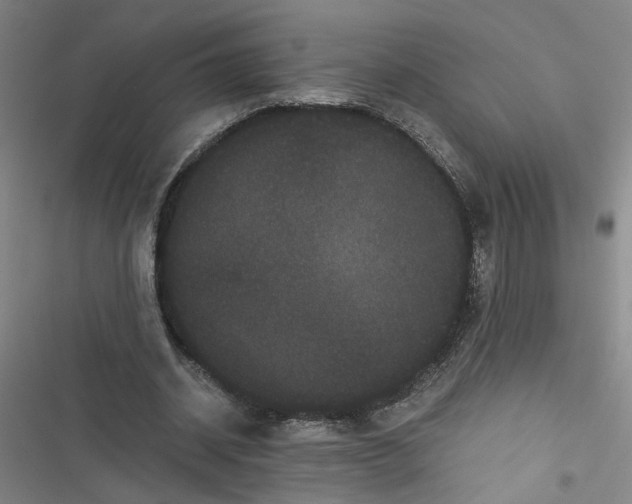 X0000116760534201001141432