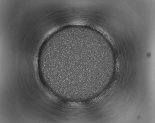 X0000116760535201001141432