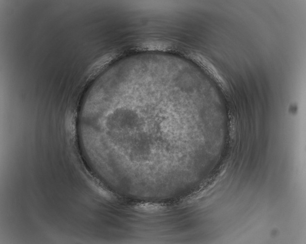 X0000116760537201001141432