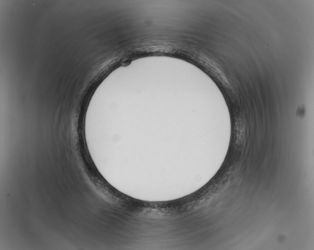 X0000116760538201001141432