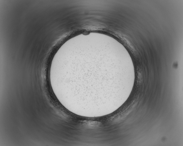 X0000116760539201001141432