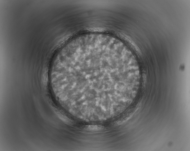 X0000116760541201001141432