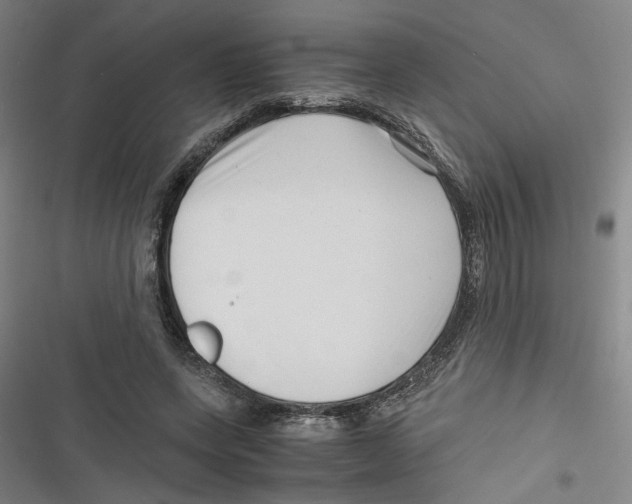 X0000116760543201001141432