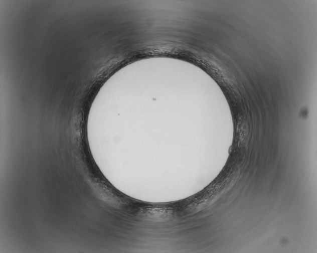 X0000116760546201001141432