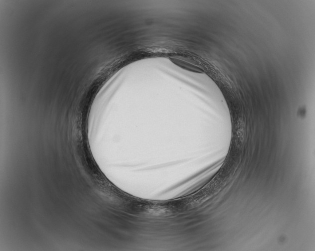 X0000116760547201001141432