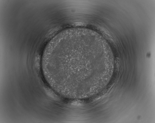 X0000116760550201001141432