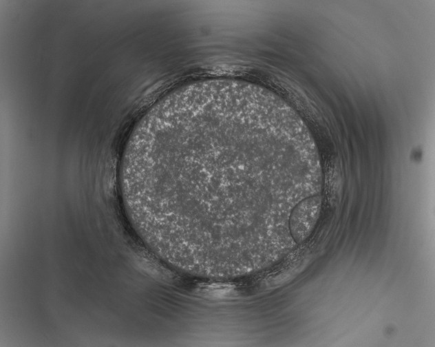 X0000116760554201001141432