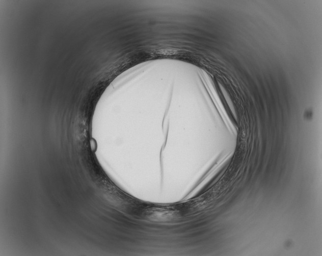 X0000116760555201001141432