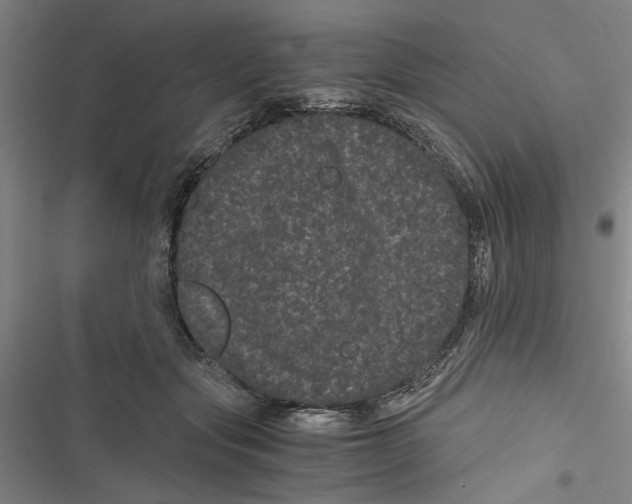 X0000116760557201001141432