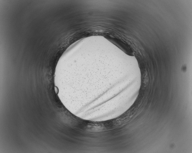 X0000116760559201001141432