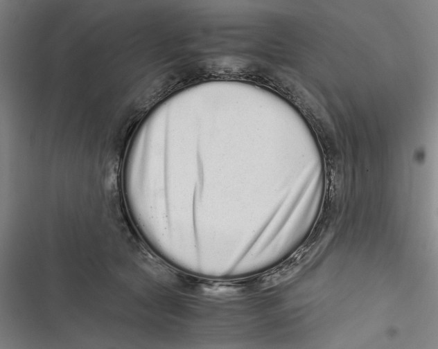 X0000116760561201001141432