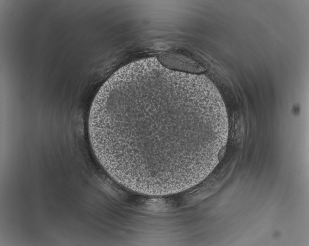 X0000116760562201001141432