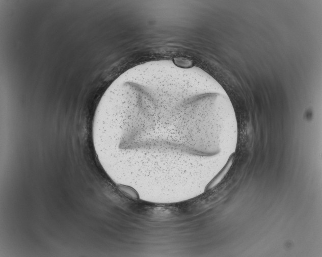 X0000116760566201001141432