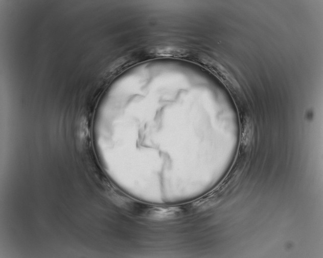 X0000116760569201001141432