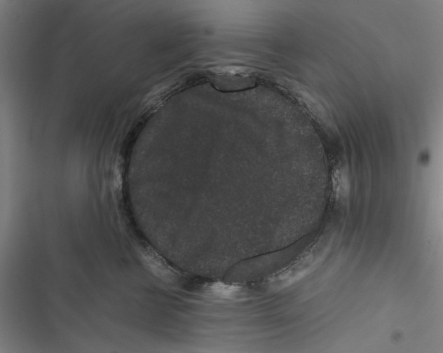 X0000116760570201001141432