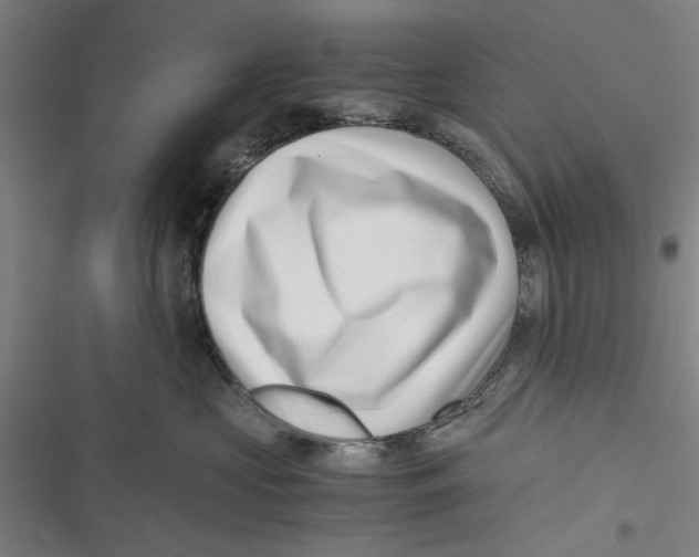 X0000116760573201001141432