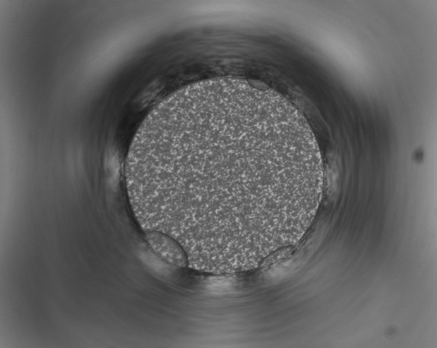 X0000116760574201001141432