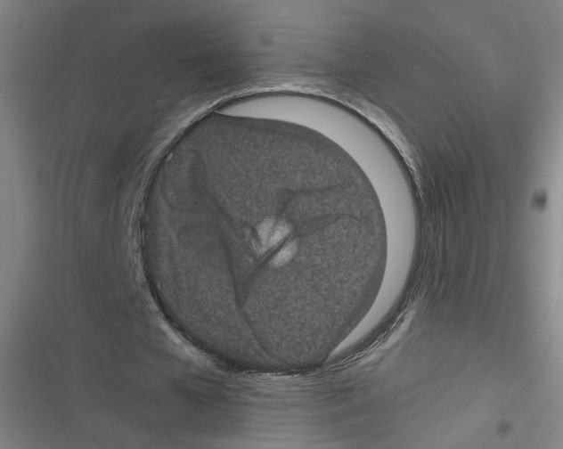 X0000116760577201001141431