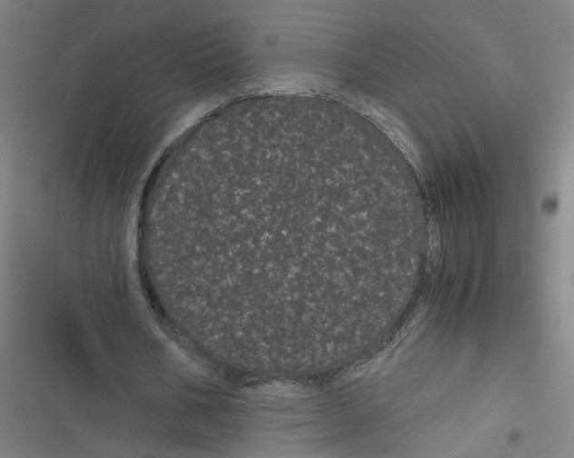 X0000116760578201001141431