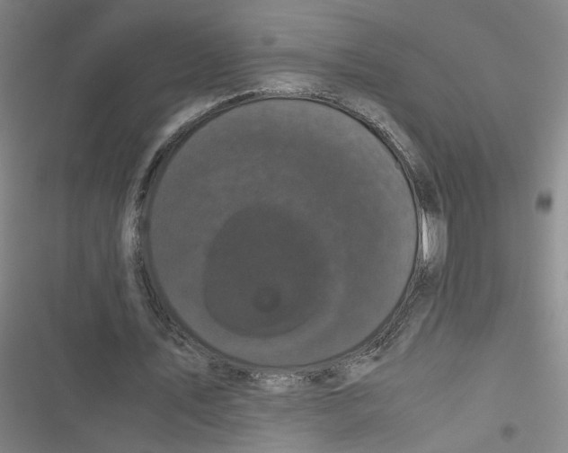 X0000116760579201001141431