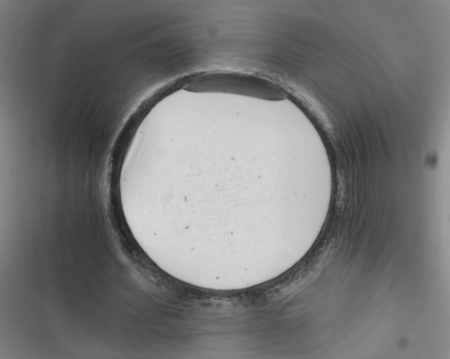 X0000116760580201001141431