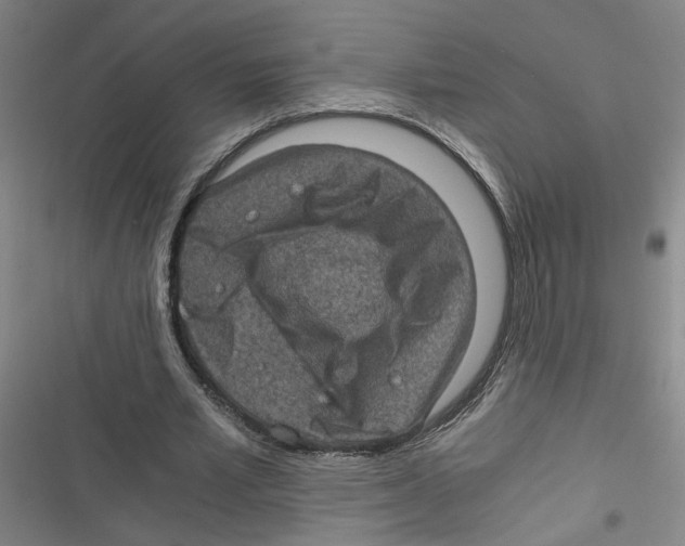 X0000116760581201001141431