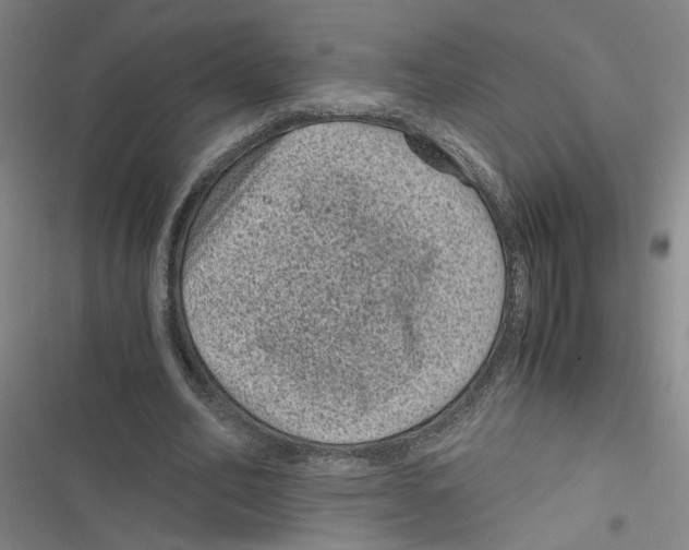 X0000116760582201001141431