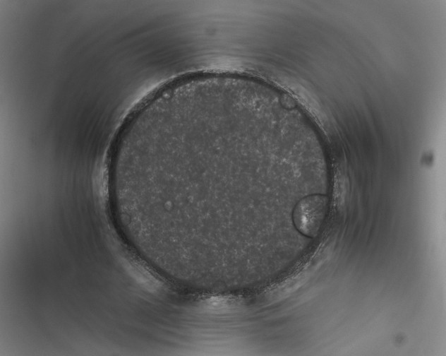 X0000116760584201001141431