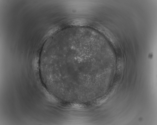 X0000116760585201001141431