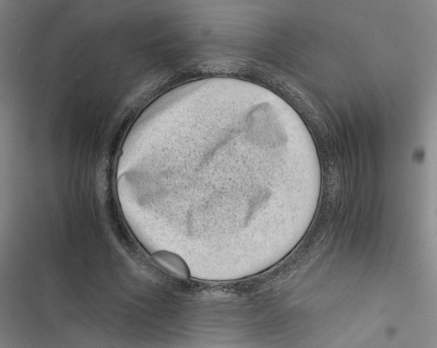 X0000116760586201001141431