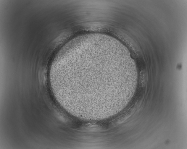 X0000116760589201001141431