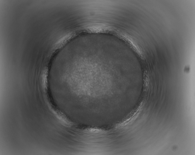 X0000116760590201001141431