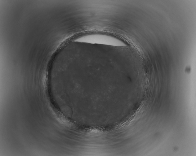 X0000116760592201001141431