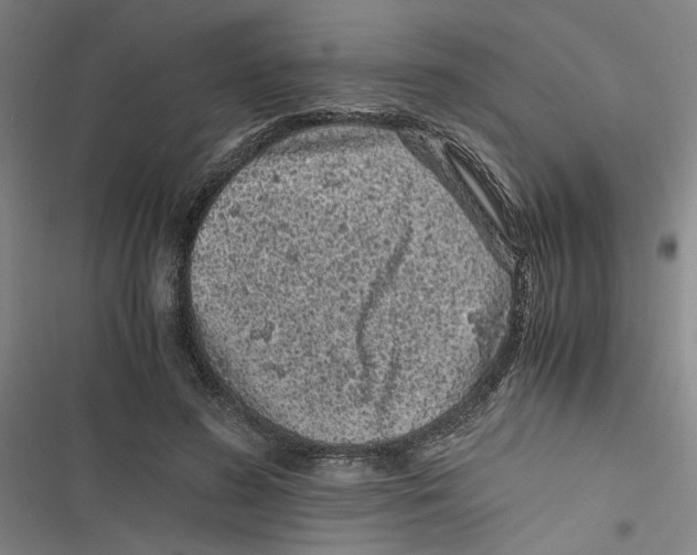 X0000116760596201001141431